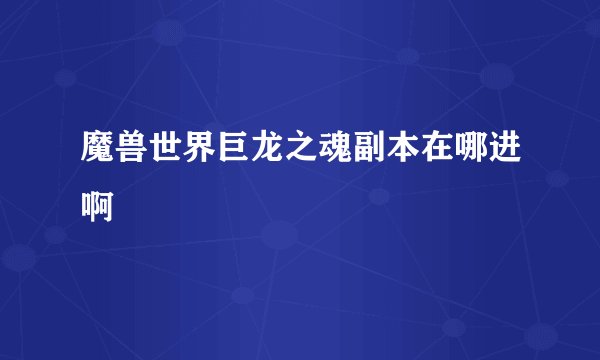 魔兽世界巨龙之魂副本在哪进啊