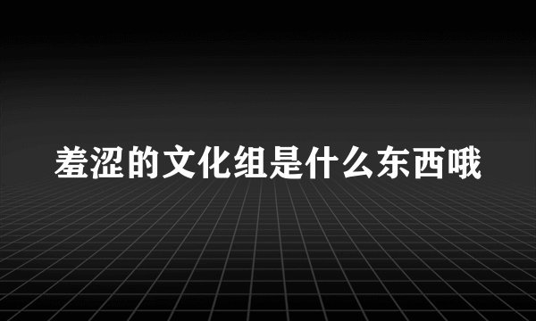 羞涩的文化组是什么东西哦