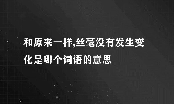 和原来一样,丝毫没有发生变化是哪个词语的意思