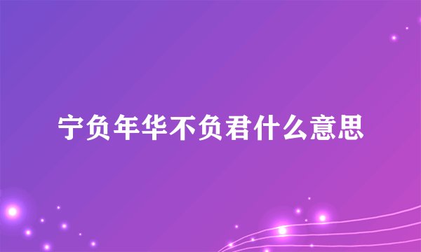宁负年华不负君什么意思