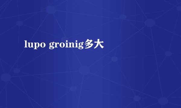 lupo groinig多大