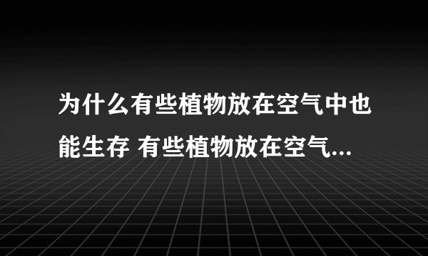 为什么有些植物放在空气中也能生存 有些植物放在空气中也能生存的原因是什么