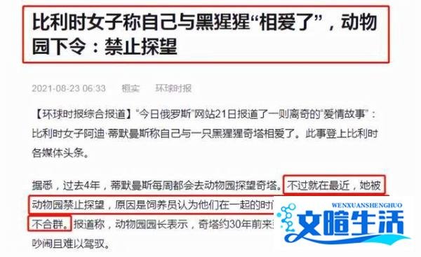 比利时女子与黑猩猩相爱，动物园禁止她继续探望，网友：棒打鸳鸯
