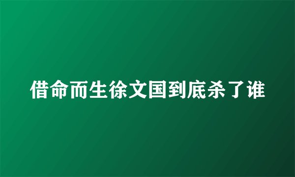 借命而生徐文国到底杀了谁