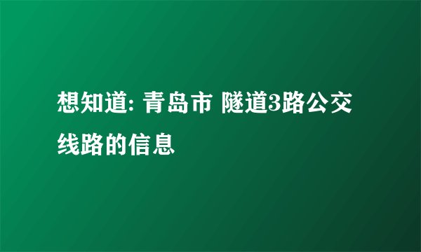 想知道: 青岛市 隧道3路公交线路的信息