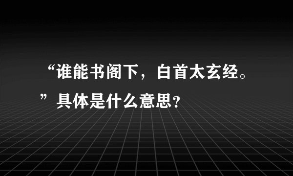 “谁能书阁下，白首太玄经。”具体是什么意思？