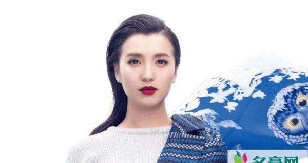 陈好的个人简介 与老公刘海峰是怎么认识的大揭秘
