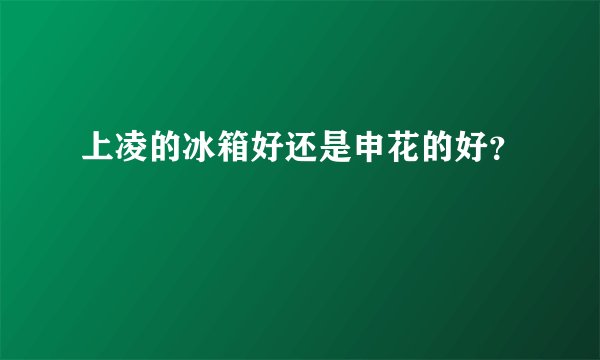 上凌的冰箱好还是申花的好？