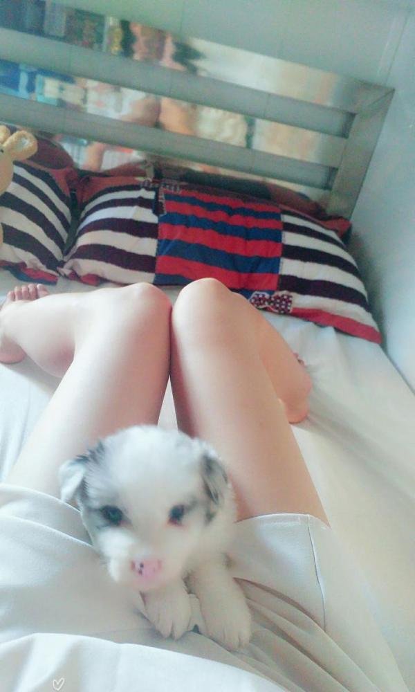 人生第一次喂狗狗奶是什么体验?