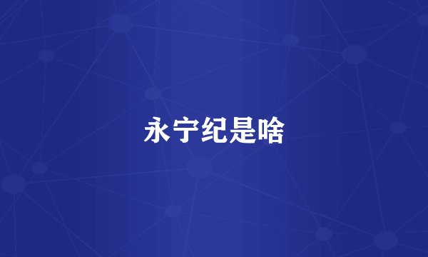永宁纪是啥