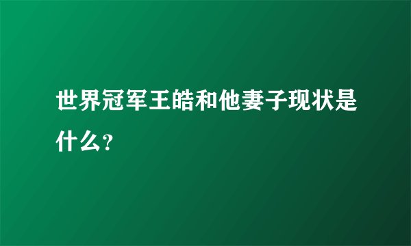 世界冠军王皓和他妻子现状是什么？
