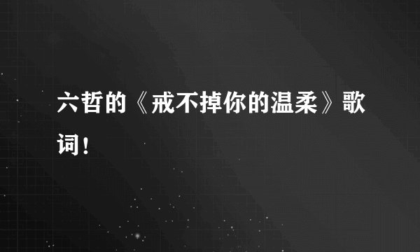 六哲的《戒不掉你的温柔》歌词！