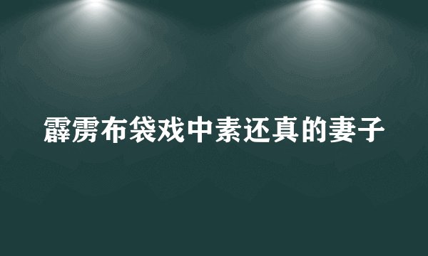 霹雳布袋戏中素还真的妻子