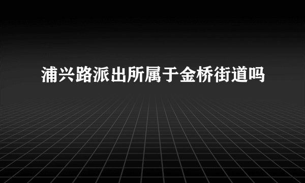 浦兴路派出所属于金桥街道吗