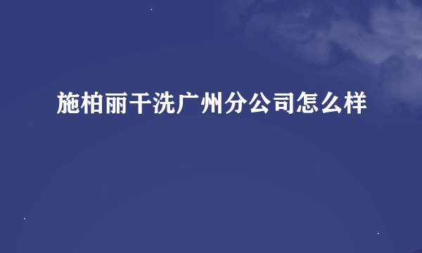 施柏丽干洗广州分公司怎么样