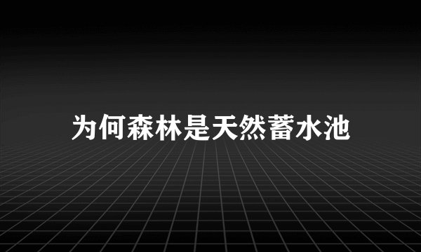 为何森林是天然蓄水池