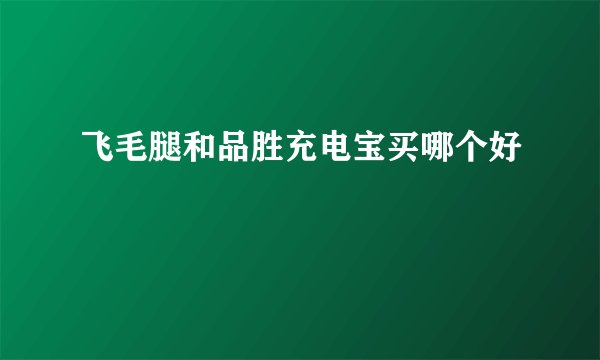 飞毛腿和品胜充电宝买哪个好