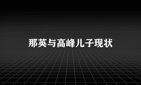 那英与高峰儿子现状