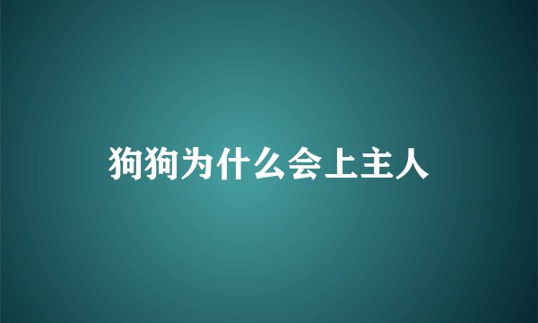 狗狗为什么会上主人