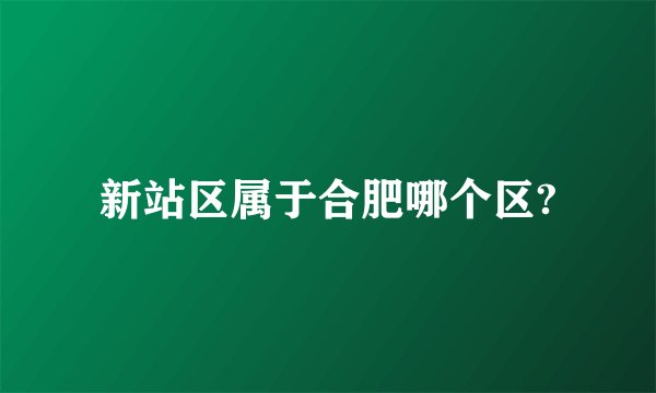 新站区属于合肥哪个区?
