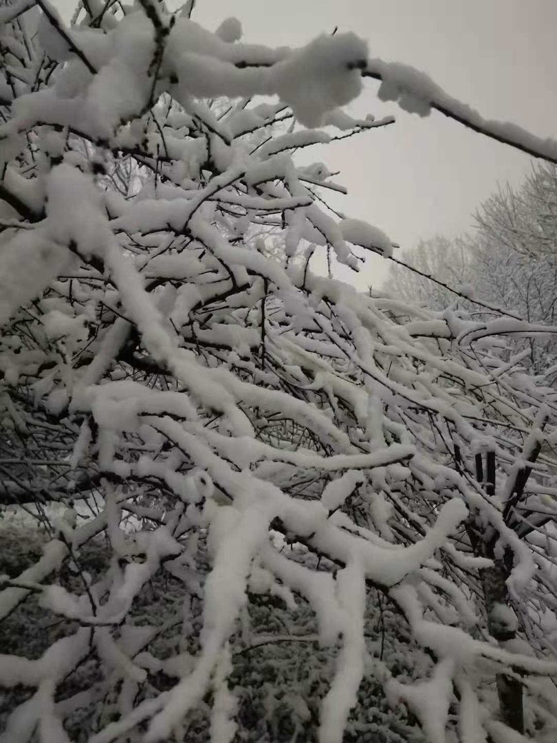 下春雪是不是好兆头