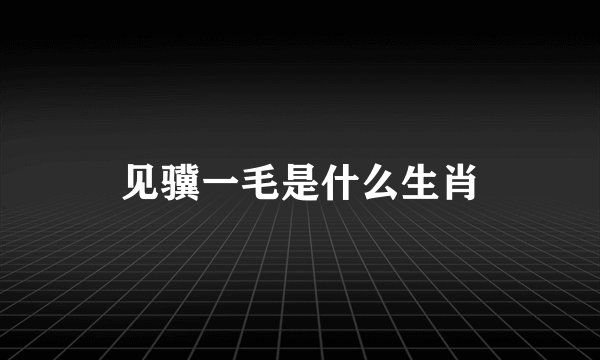 见骥一毛是什么生肖