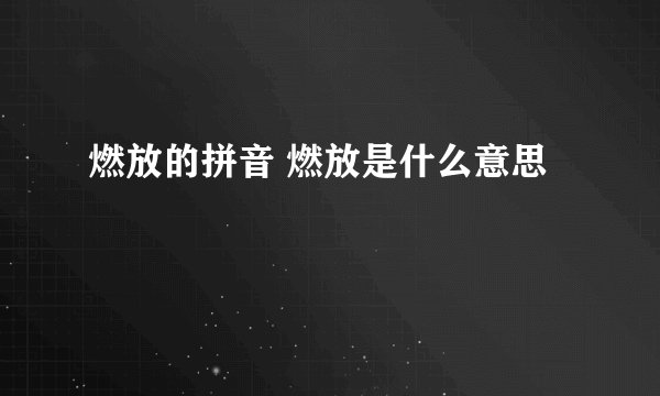 燃放的拼音 燃放是什么意思