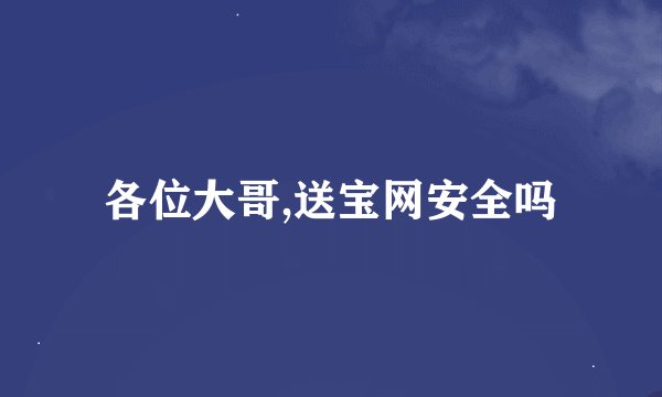 各位大哥,送宝网安全吗