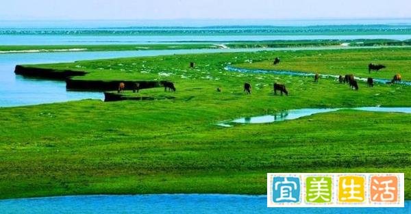 鄱阳湖干枯,20人自费转运上万斤,真正的慈善不需要仪式