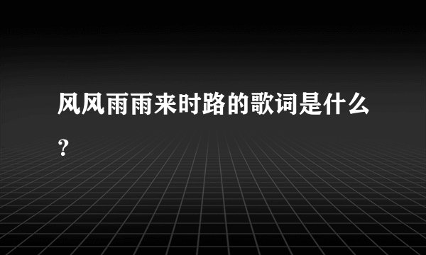 风风雨雨来时路的歌词是什么？