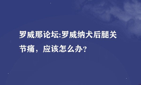 罗威那论坛:罗威纳犬后腿关节痛，应该怎么办？