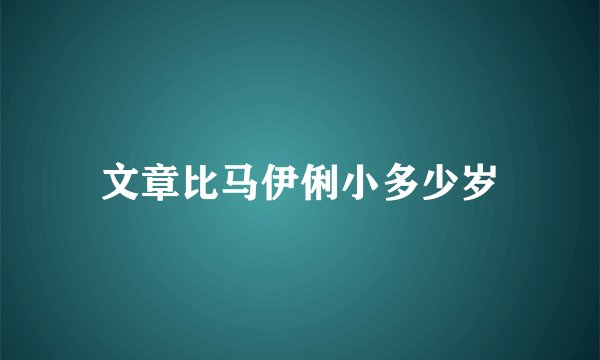 文章比马伊俐小多少岁