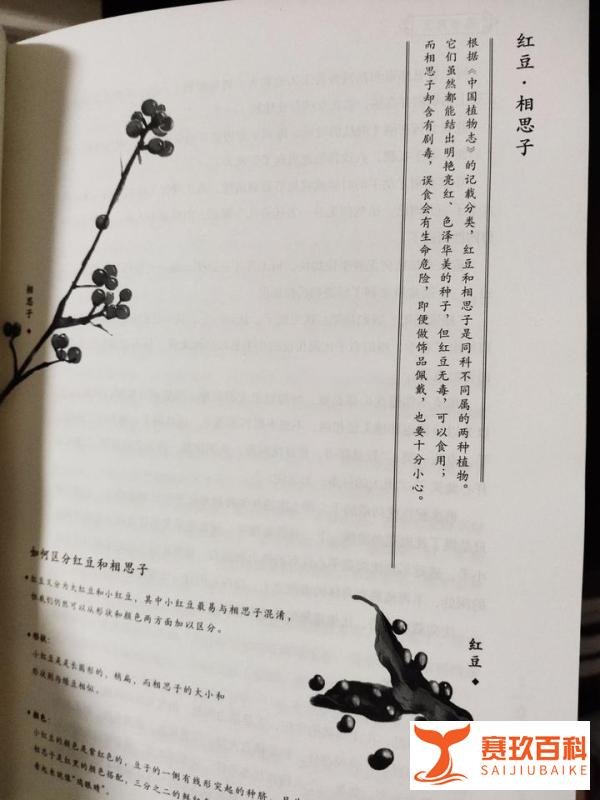 《隐者慧医》：何常在的最新力作，带我们进入热血中医的世界