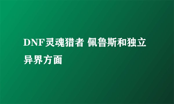 DNF灵魂猎者 佩鲁斯和独立 异界方面