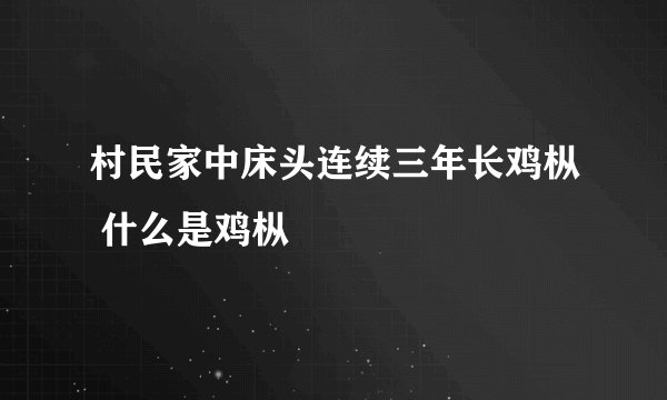 村民家中床头连续三年长鸡枞 什么是鸡枞