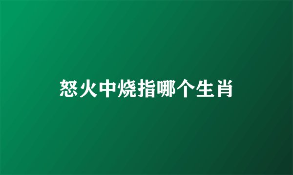 怒火中烧指哪个生肖