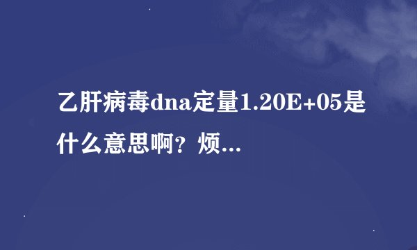 乙肝病毒dna定量1.20E+05是什么意思啊？烦请知道的告诉我好吗。