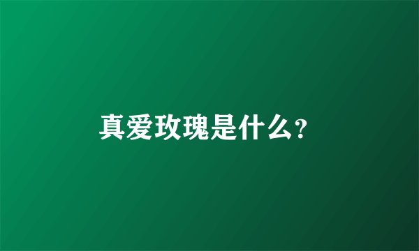 真爱玫瑰是什么？