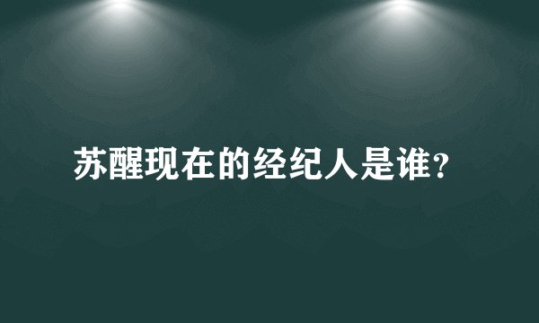 苏醒现在的经纪人是谁？
