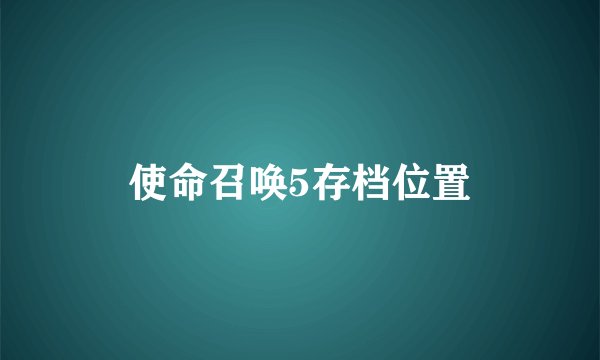 使命召唤5存档位置