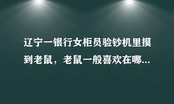 辽宁一银行女柜员验钞机里摸到老鼠,老鼠一般喜欢在哪些地方躲藏?