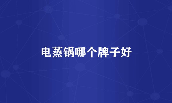 电蒸锅哪个牌子好