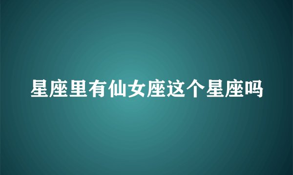 星座里有仙女座这个星座吗