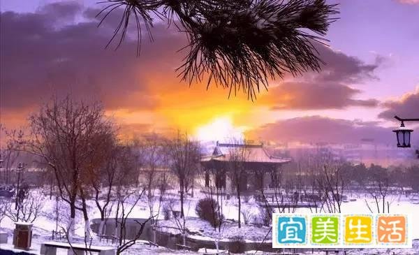 记忆中有一座宫殿(诗歌)