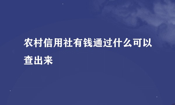 农村信用社有钱通过什么可以查出来