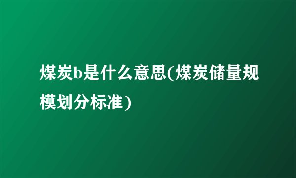 煤炭b是什么意思(煤炭储量规模划分标准)
