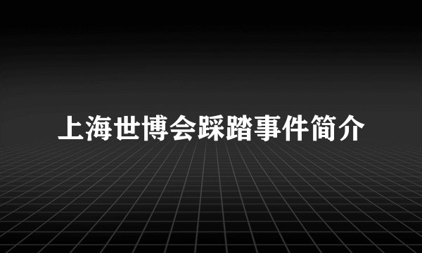 上海世博会踩踏事件简介