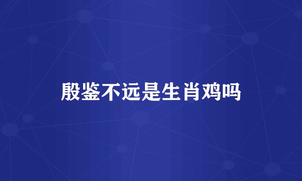 殷鉴不远是生肖鸡吗