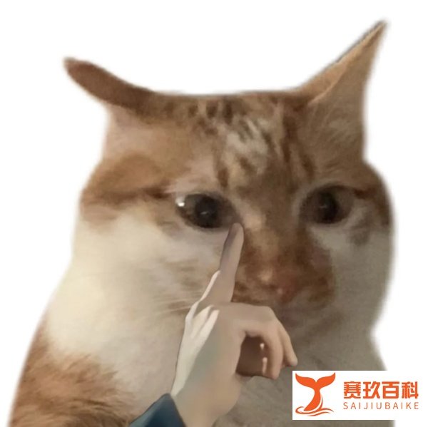 国考后心情belike ??疑似12月对我出拳,第一天就这样......