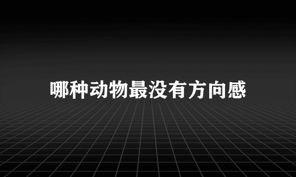 哪种动物最没有方向感